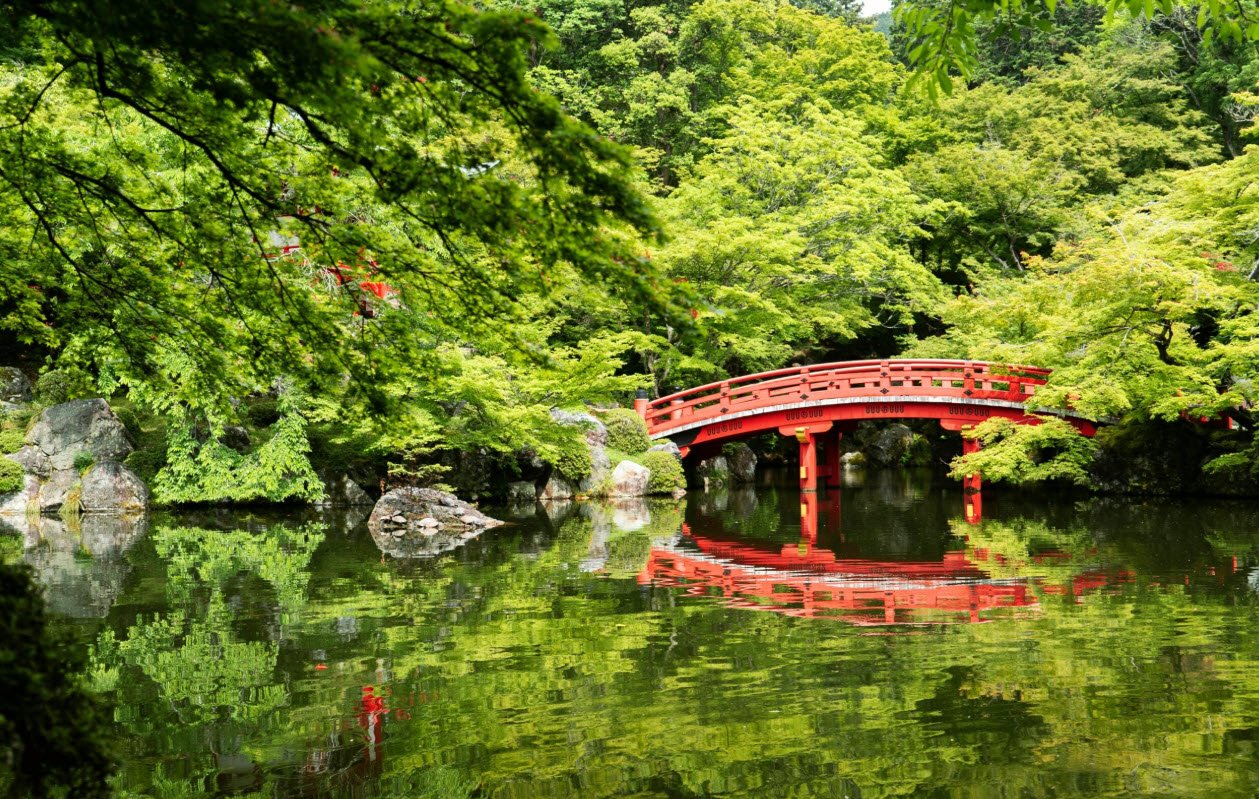 Fujitakerui Botanical Gardens, Nagaizumi, Japan, Japan